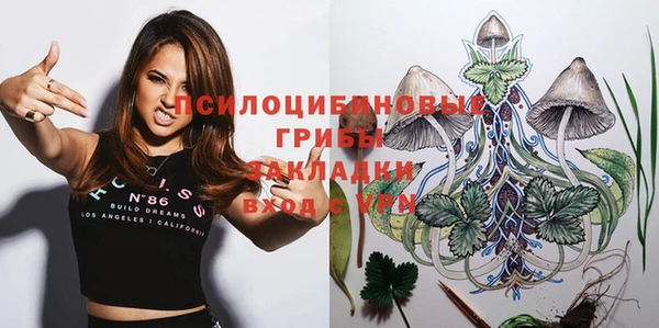 ГАЛЛЮЦИНОГЕННЫЕ ГРИБЫ Абдулино